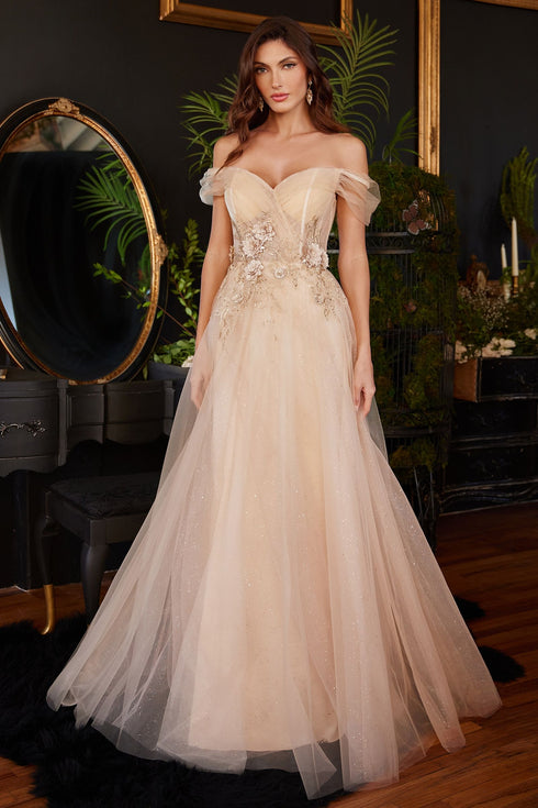 Abendkleid CD3395